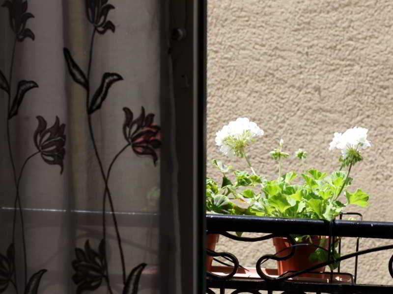 Belvedere Rooms And Terrace Trapani Zewnętrze zdjęcie